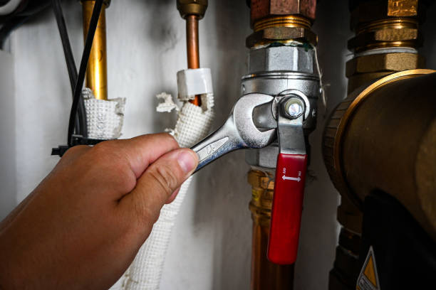 Best Toilet Repair Services  in Juarez, TX